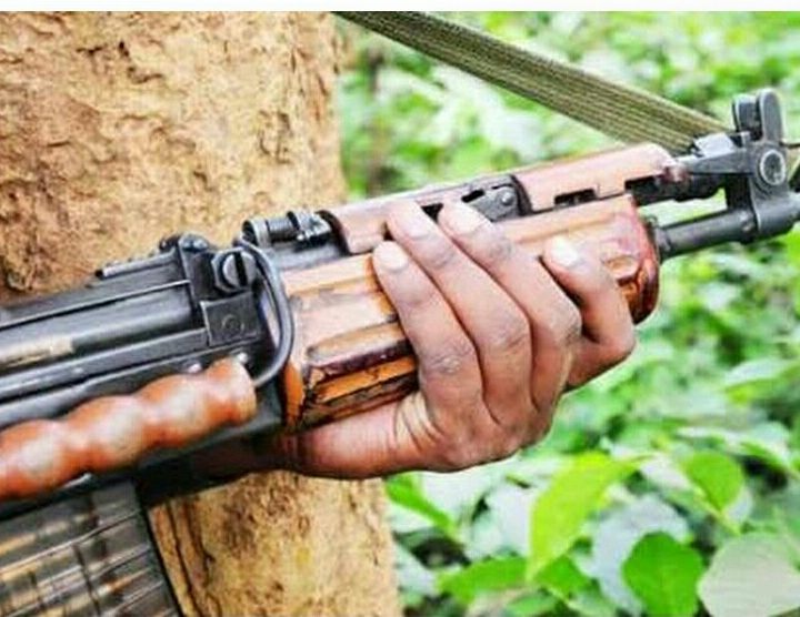 भारत की कूटनीति के दबाव में पाकिस्तान ने कबूला की पाकिस्तान में आतंकवाद पल रहा है।