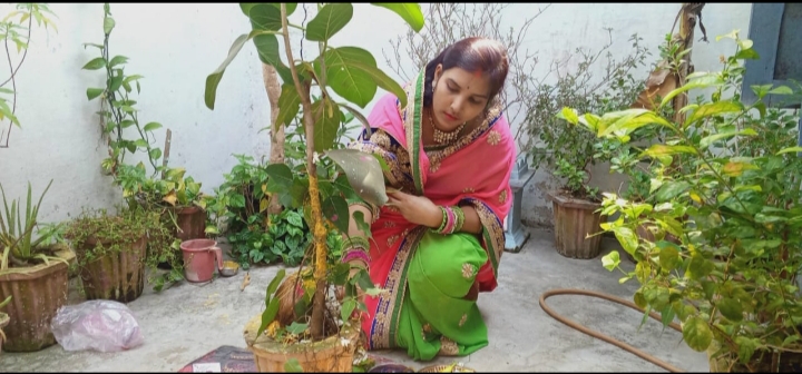 लाकडाऊन के चलते घरों में हुआ वटसावित्री पूजा