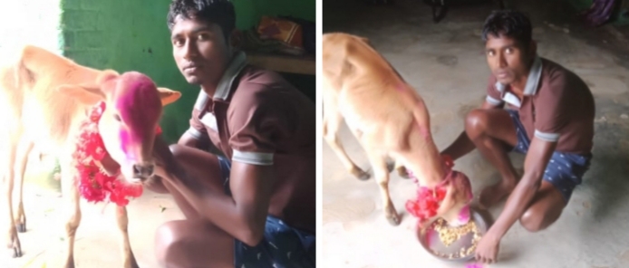 युवा पत्रकार ने गोवंशों के बीच मनाया जन्मदिन