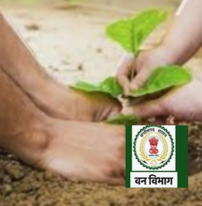 आज से हर जिला मुख्यालय में बँटेंगे नि:शुल्क पौधे , हेल्पलाईन नंबर जारी