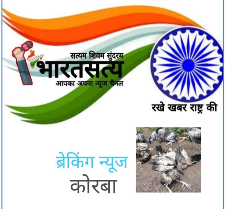 लगातार बारिश के चलते प्रवासी पक्षियों की मौत