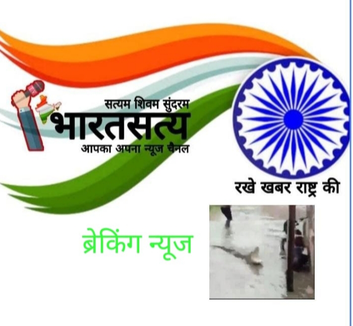 बारिश की पानी में गली में तैरता मिला मगरमच्छ
