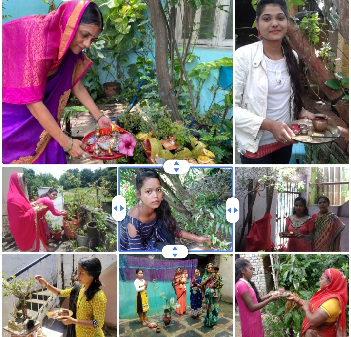 प्रकृति वंदन दिवस पर पीपल नीम तुलसी के छग टीम ने किया वृक्षपूजन