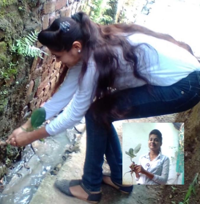मान भी जाओ –पूजा चतुर्वेदी की ✍️ कलम से