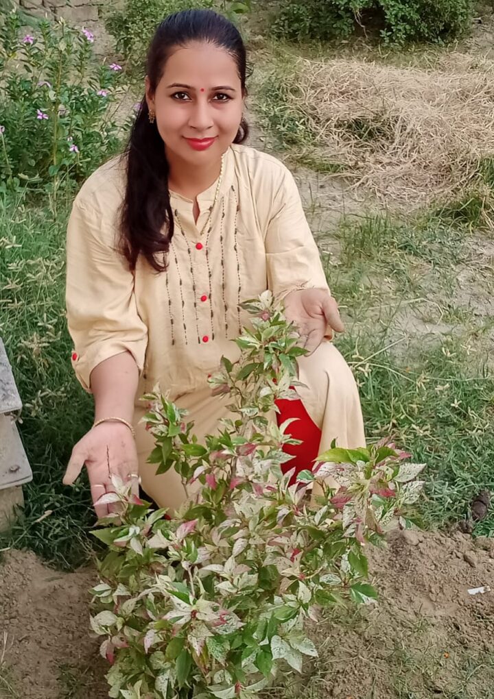ग्रीन इंडिया और मातृ सेवा मंडल सेवा भारती की हर्ष प्रभा ने पौधरोपण कर मनाया “हिंदी दिवस”