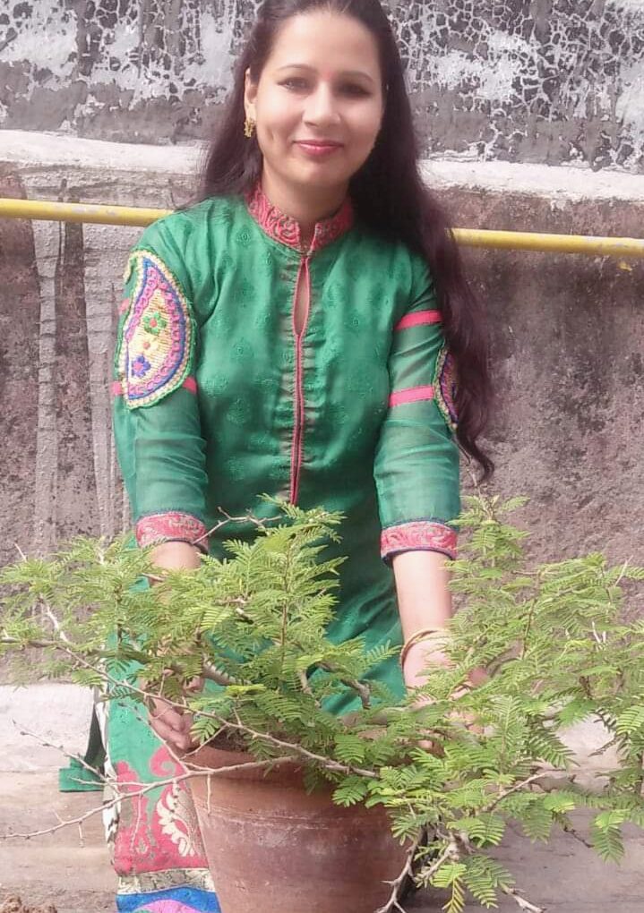 विजया दशमी पर शमी पेड़ क्यों पूजा जाता है? आइए जानते है!