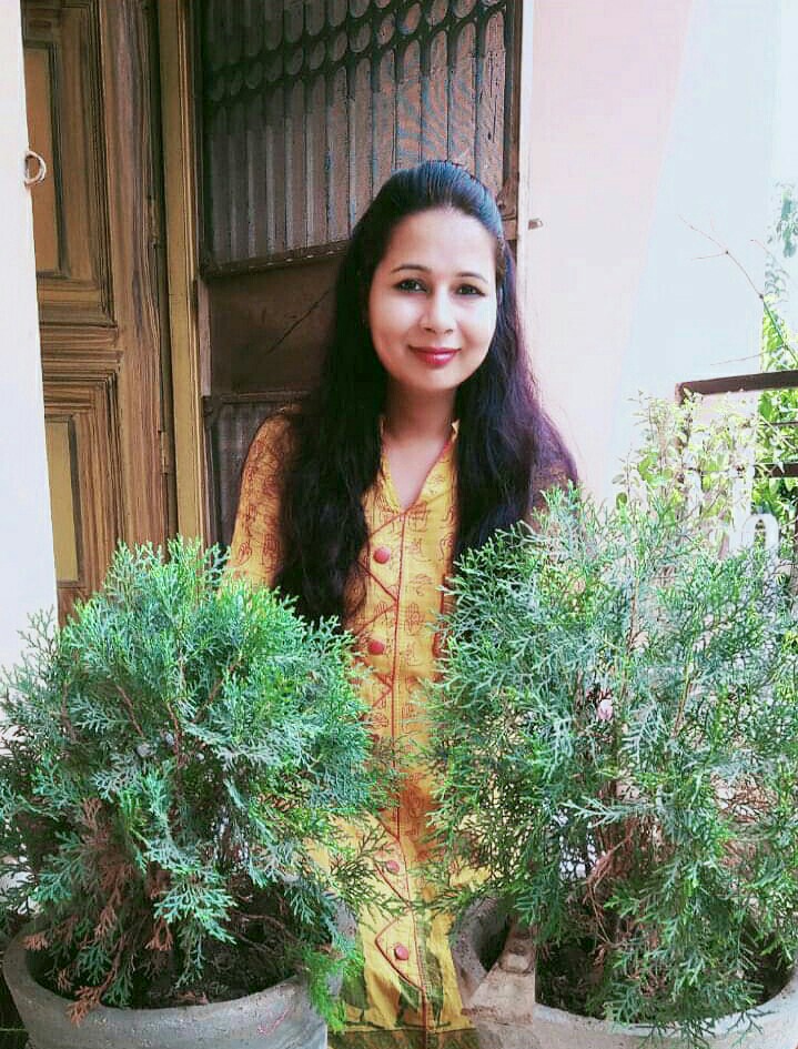 मयूरपंखी का पौधा/ मोरपंखी का पौधा🌲देखने मे सुंदर ,कुछ गुण भी आइये जाने क्या है