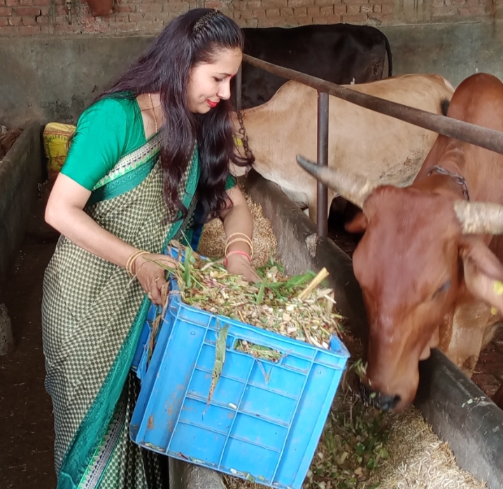 गोवर्धन पूजा की कहानी: