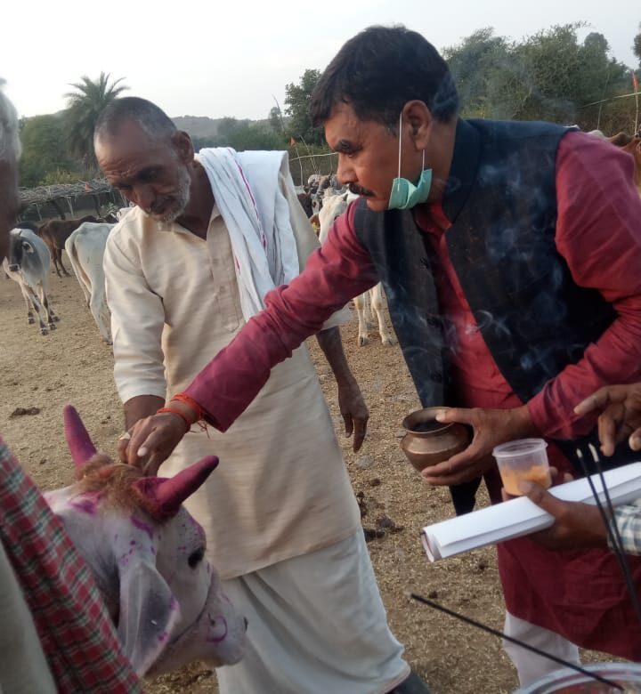 हर्षोउल्लास के साथ मनाया गया गोपाष्टमी पर्व क्षेत्रीय विधायक राजकरण कबीर ने पहुंचकर बढ़ाया उल्लास