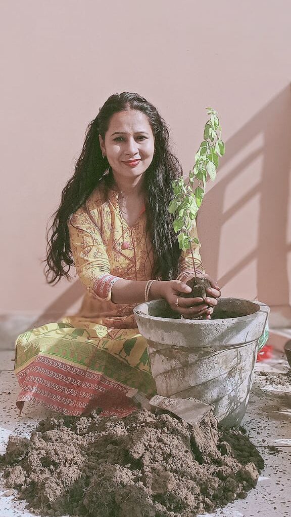 तुलसी विवाह और देवउठनी एकादशी की हार्दिक शुभकामनाएं-कैसे बनी वृंदा तुलसी माता ?