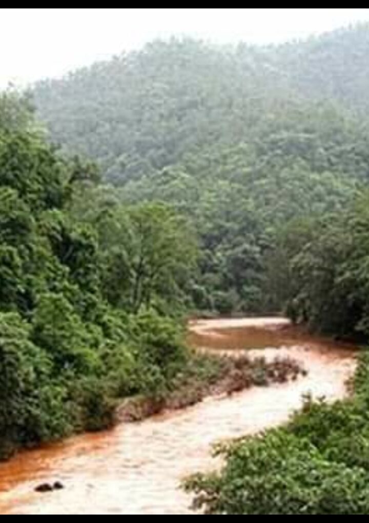 ट्रेंड ट्विटर में अपनी बात रखने और लोगो को मुद्दे पर एक जुट करने का कारगर साधन कल प्रकृति प्रेमी INDIA STAND WITH BUXWAHA   बुक्सवाह जंगल बचने के एकजुट हुए