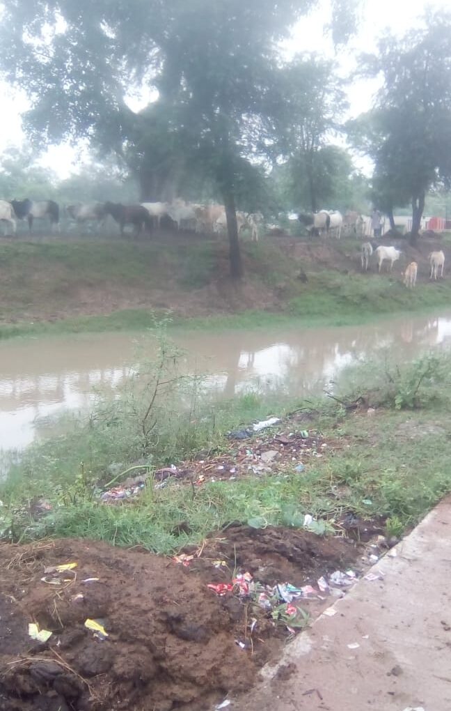 पुकार रहा किसान हमे इनसे बचाओपुकार लगा रही गौ माता हमारी रक्षा करो