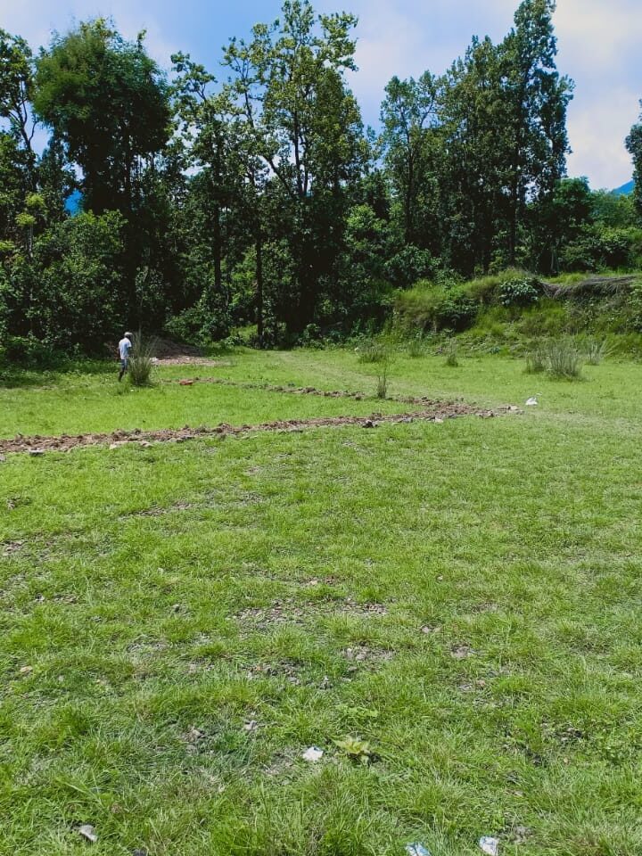 पेड़ों का फूलता दम, कहीं इंसानों का दम न फुला दे