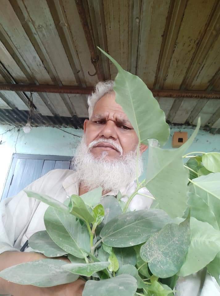 भारत का राष्ट्रीय पेड़ हैं बरगद  आखिरकार बरगद को ही क्यूँ चुना,यह सवाल सबके मन मे होगा..!