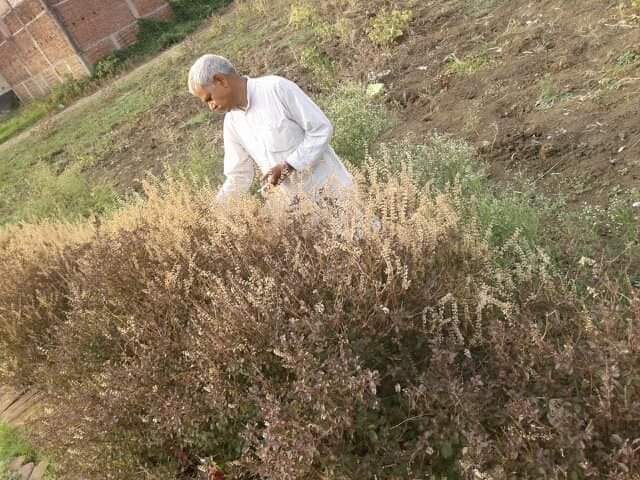 पीपल नीम तुलसी अभियान एंव राष्ट्रीयजंगल बचाओ अभियान के तहत कुटुंभ ऐप के माध्यम से कोविड एंव तूलसी विषय पर पिछले संध्या एक बरचुयल मिटिग आयोजित