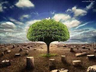 पयार्वरण प्रदुषण की समस्या मात्र भारत ही नहीं विश्व की समाधान जरूरी है -पीपल नीम तुलसी अभियान Dr Dharmendra Kumar