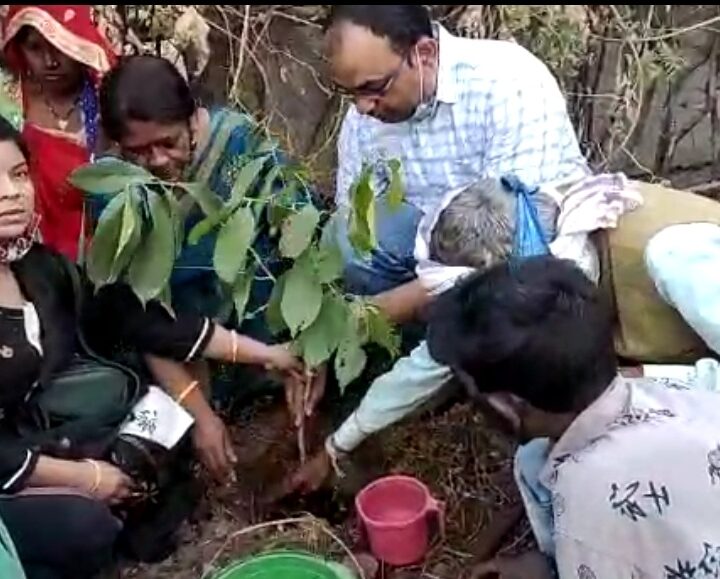 राष्ट्रीय जंगल बचाओ अभियान भारत ने रानी रूपमती महल मांडू में वृक्षारोपण कर नववर्ष 2022 में दिया प्रकृति के सिंगार का संदेश