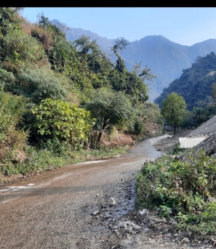 पेड़ की लकड़ी की कुल्हाड़ी मूठ पकड़ अपने जीवन की सांसे काटे डाल रहे पेड़ काट के ऑक्सीजन कहां से मिलेगी? जिंदा रहने के लिए – डॉ धर्मेंद्र कुमार