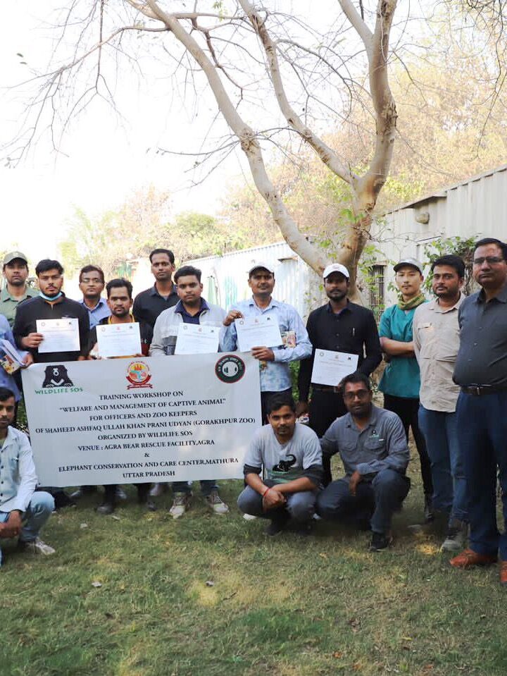 वाइल्डलाइफ एसओएस ने गोरखपुर चिड़ियाघर के लिए कैप्टिव एनिमल्स के प्रबंधन पर कार्यशाला का किया आयोजन !