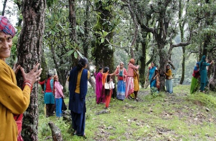 चिपको आंदोलन एक पर्यावरण रक्षा की पहल -पेड़ लगाओ पेड़ बचाओ