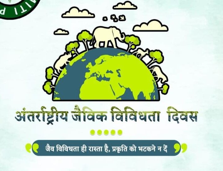 आओ हम सब मिलकर यह संकल्प लें -वसुंधरा की श्रृंगार रूपी पेड़ पौधे को काटकर इसकी खूबसूरती और उपयोगिता को कम नहीं करेंगे।