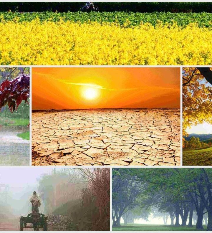 बहारों फूल बरसाओ मेरा महबूब आया है