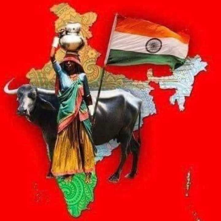 गीत