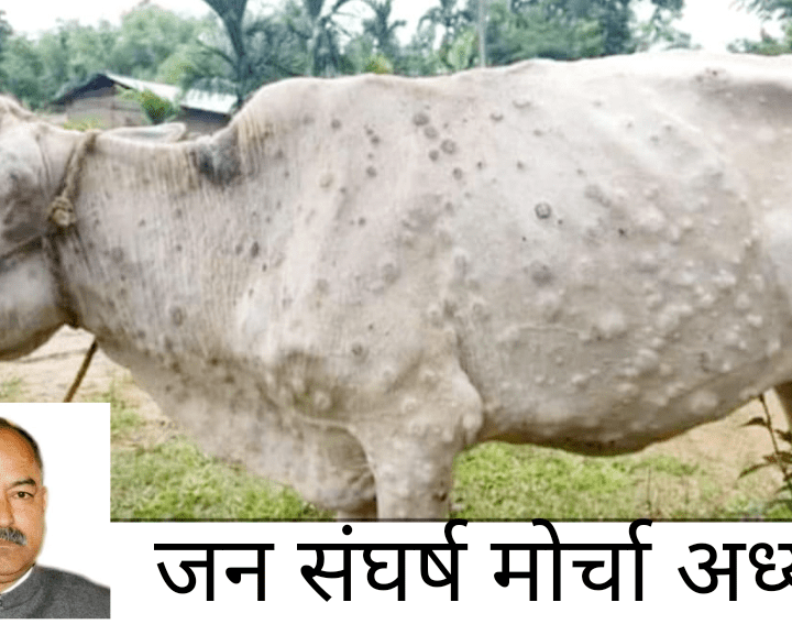 मवेशियों के लंपी स्किन रोग की युद्ध स्तर पर करें रोकथाम- मोर्चा