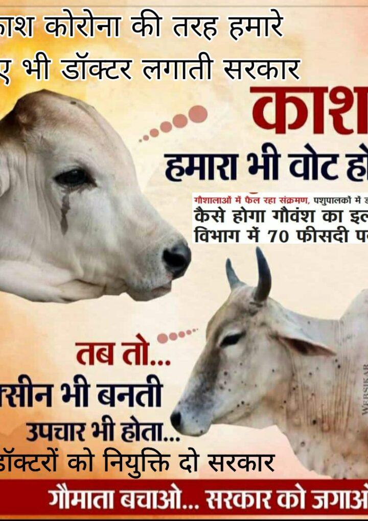 WHO का कहना की 3 साल बाद 87% लोग कैंसर जैसी बीमारी से ग्रषित होंगे कारण मिलावटी खाद्य सामग्री जैसे -दूध नहीं जहर पीता है इंडिया वो भी घातक प्लास्टिक की थैली में ।