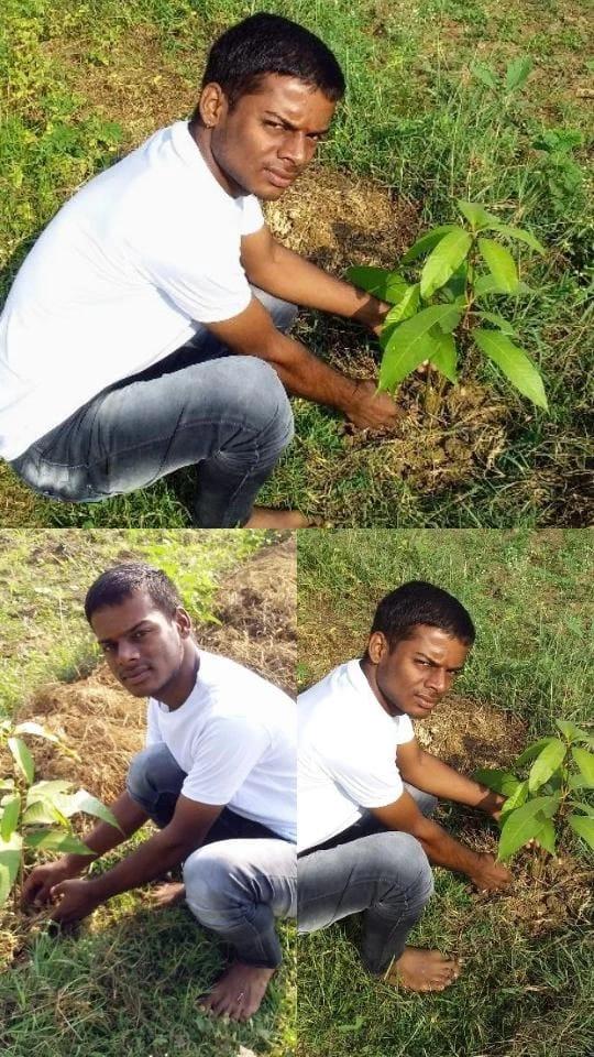 शरद पूर्णिमा व महर्षि वाल्मीकि जी की जयंती पर ग्रीन इंडियन आर्मी सोहागपुर जिला नर्मदापुरम द्वारा करणपुर चौधरी पेट्रोल पंप के सामने छायादार पौधे रोपण किया गया।