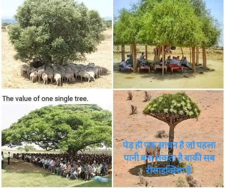 प्रकृति के कहर से कराहती जिंदगी के जिम्मेदार कहीं हम आप तो नहीं–