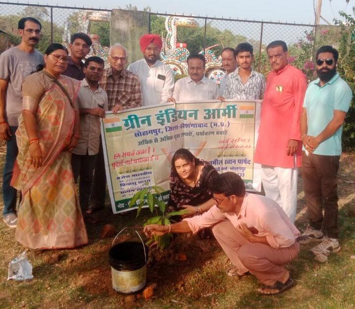 पर्यावरण दिवस पर फलदार छायादार पौधों का रोपण किया गया*सोहागपुर।
